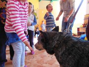 Bezpečný pes - kynologie